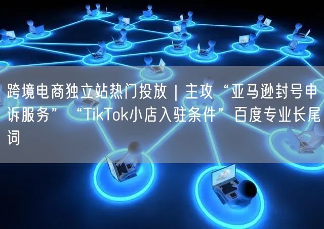 跨境电商独立站热门投放｜主攻“亚马逊封号申诉服务”“TikTok小店入驻条件”百度专业长尾词